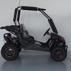 Trailmaster Cheetah 6 Youth Go-Kart, 163cc Engine, 4-Stroke Single Cylinder, Air Cooled, Remote Start/Kill For Sale - Image 2