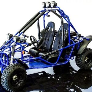 RPS Tranformer 200cc Gokart, Fully Automatic with reverse, 4-Stroke, Single Cylinder, Electric start For Sale - Image 2