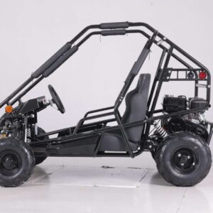 Tao Motor New Baja Sprinter 200 Go-Kart, 196cc Engine, 4-Stroke, Manual Pull Start For Sale - Image 2