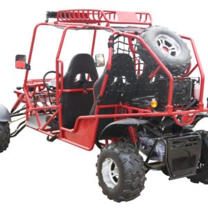 RPS TK300 EFI 300cc 4-Seater Go-Kart (TK300GK-6A), Full-Size with Chrome Rims For Sale - Image 3