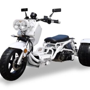 Icebear Maddog Trike 150cc(PST150-19N)-Trike For Sale - Image 4