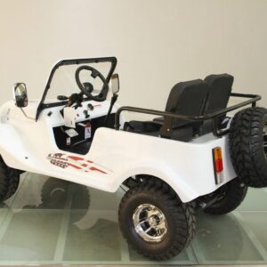 RPS Classic Jeep 150cc (TK150JP-8), Automatic with Reverse, Air Cooled, Electric Start For Sale - Image 4