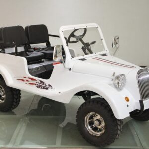 RPS Classic Jeep 150cc (TK150JP-8), Automatic with Reverse, Air Cooled, Electric Start For Sale - Image 5