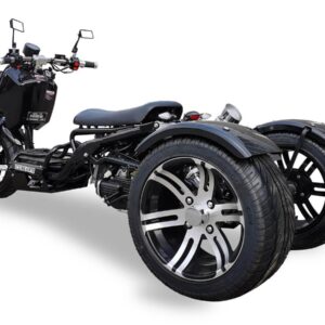 Icebear Maddog Trike 150cc(PST150-19N)-Trike For Sale - Image 6