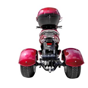 Icebear Q6 50 (PST50-17)-Trike For Sale - Image 7