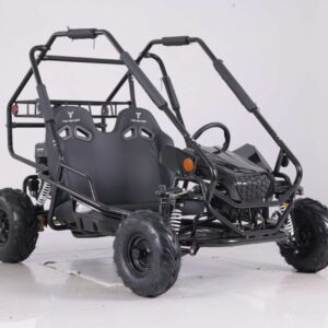 Tao Motor New Baja Sprinter 200 Go-Kart, 196cc Engine, 4-Stroke, Manual Pull Start For Sale - Image 7