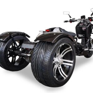 Icebear Maddog Trike 150cc(PST150-19N)-Trike For Sale - Image 8