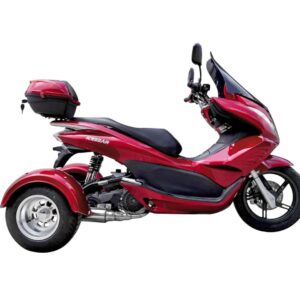 Icebear Q6 50 (PST50-17)-Trike For Sale - Image 9