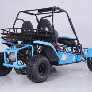 Tao Motor Baja Sport 200 Go-Kart, Air-Cooled 4-Stroke, Fully Automatic with Reverse For Sale - Image 2