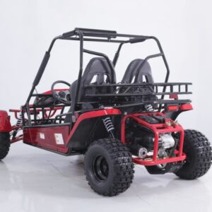 Tao Motor Baja Sport 200 Go-Kart, Air-Cooled 4-Stroke, Fully Automatic with Reverse For Sale - Image 5