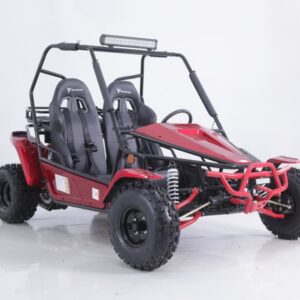 Tao Motor Baja Sport 200 Go-Kart, Air-Cooled 4-Stroke, Fully Automatic with Reverse For Sale - Image 3