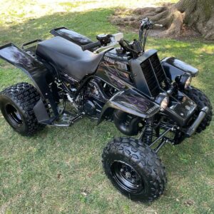 2006 Yamaha Banshee SE - Image 2